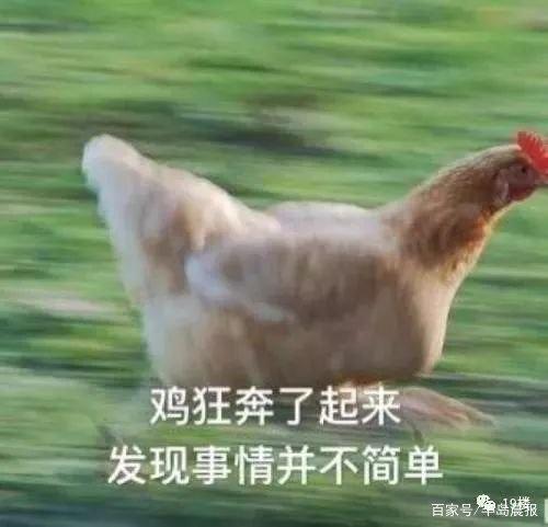 地鐵安檢不允許帶活雞，大媽接下來的行為，把地鐵的小姐姐嚇壞了